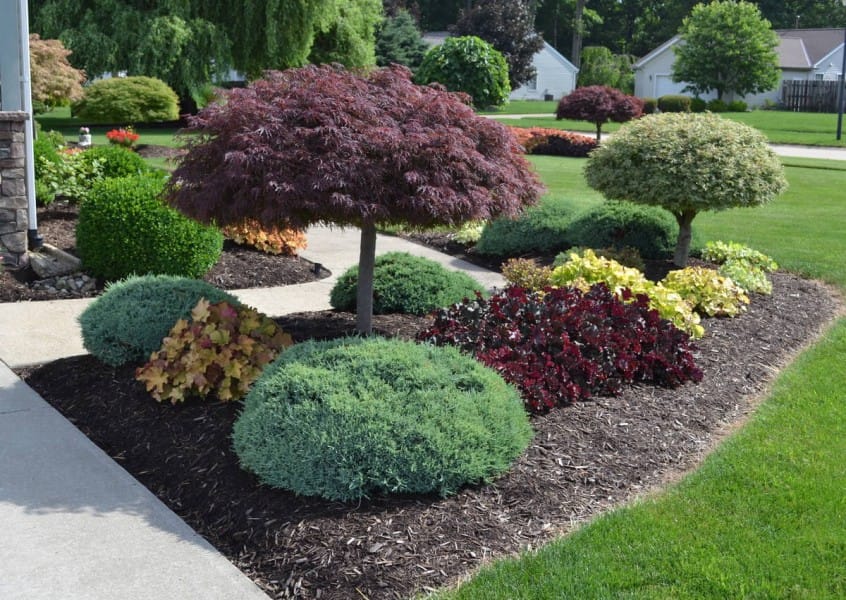 Beautiful residential flower bed with shrubs and mulch in Wichita